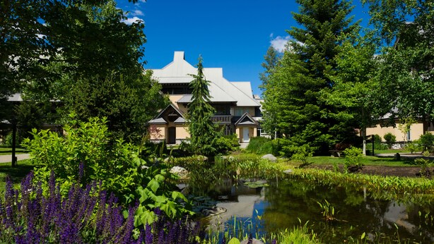 Ein traditionelles Gebäude mit Teich im Vorgrund, umgeben von üppigem Grün und violetten Blumen.