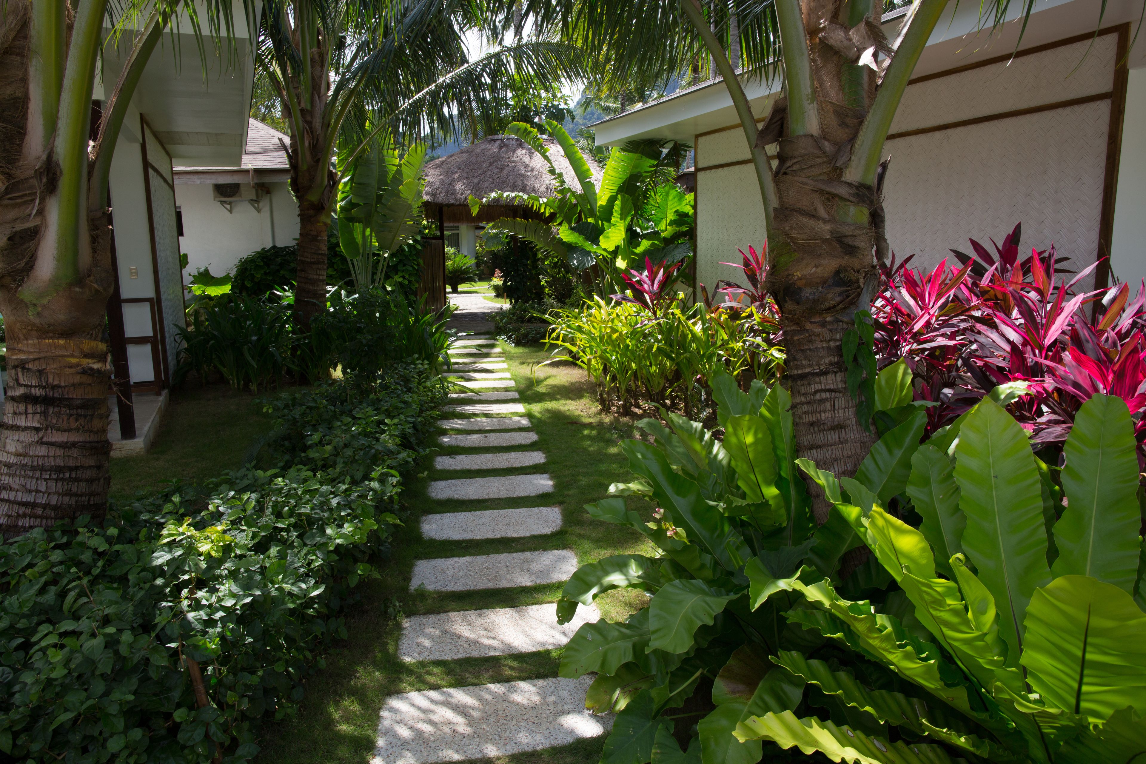 Photo - Cadlao Resort and Restaurant