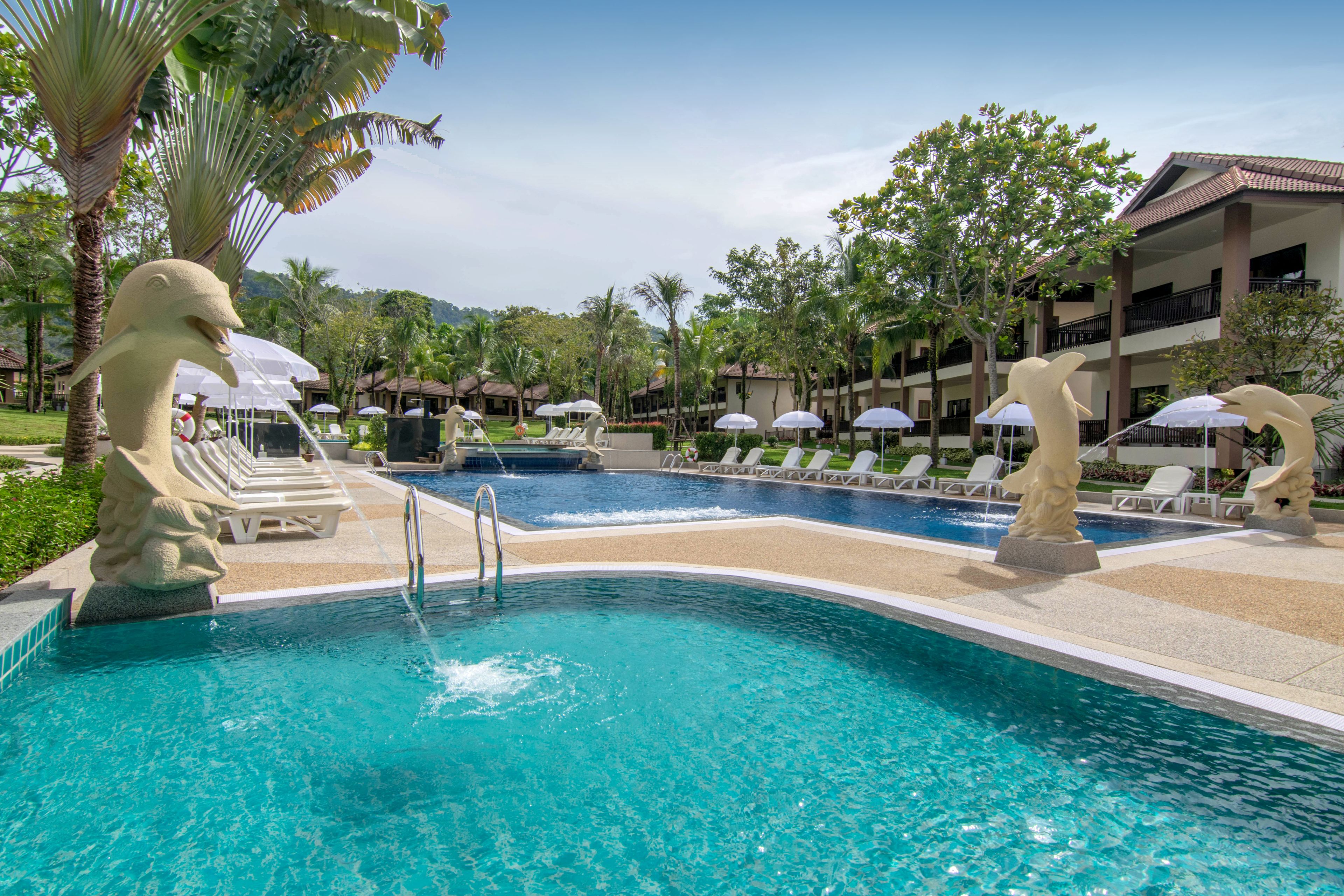 2 utomhuspooler, parasoller och solstolar