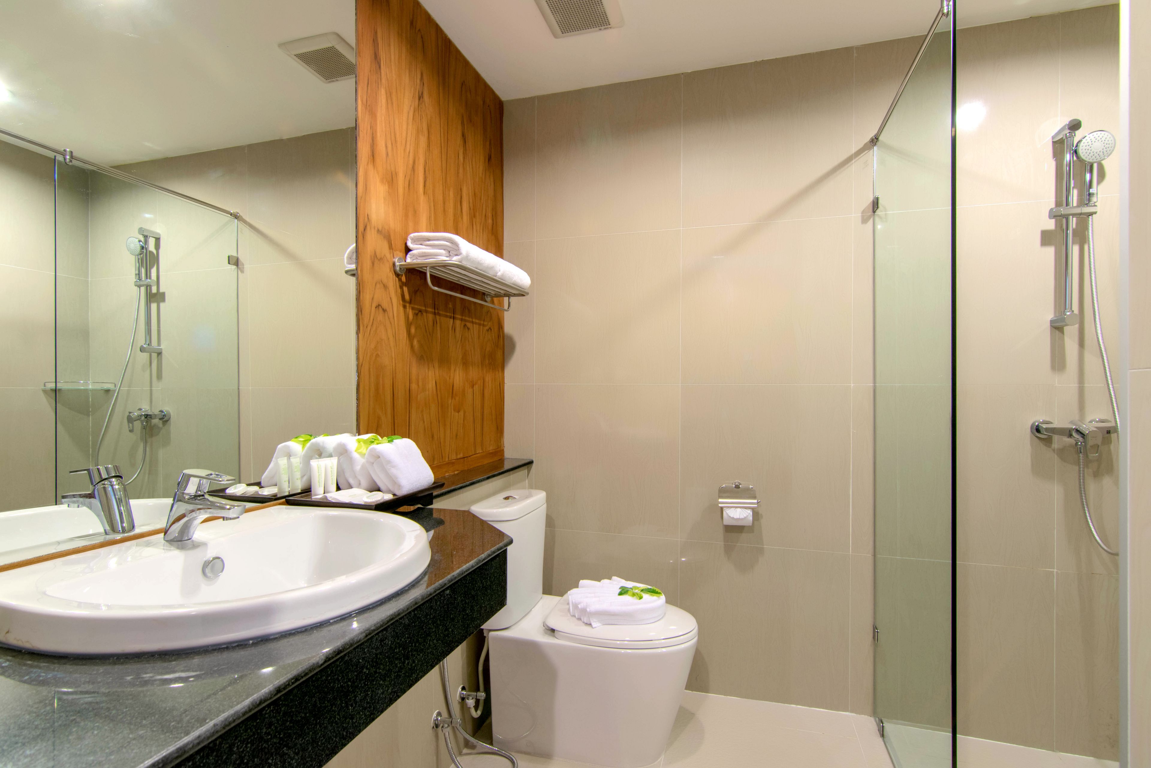 Une salle de bain moderne avec un grand lavabo, des toilettes et une douche à parois de verre.