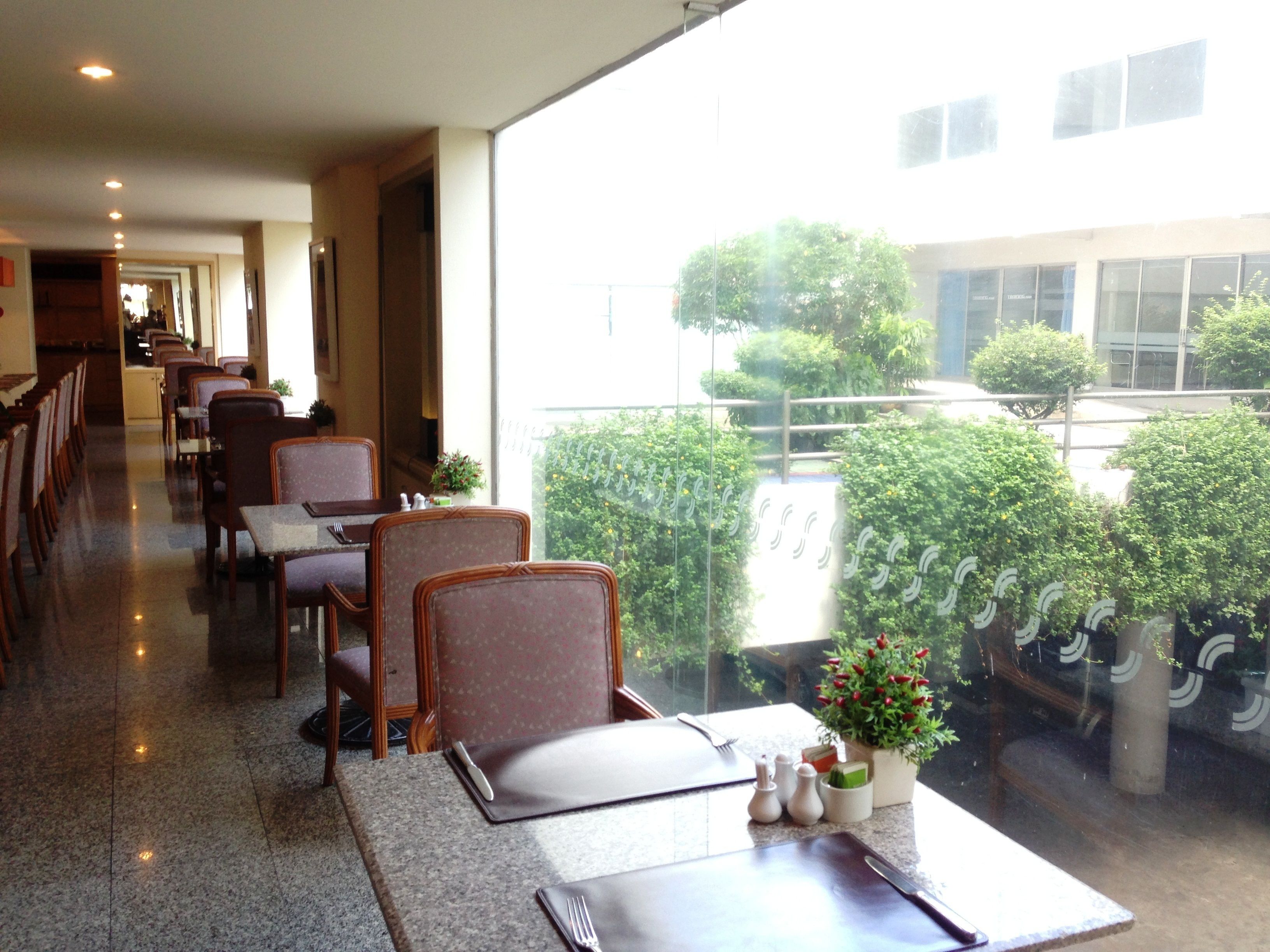 Een restaurant met een lange toonbank en stoelen, een kleine tafel met een plant, en uitzicht op een gebouw en groen buiten.