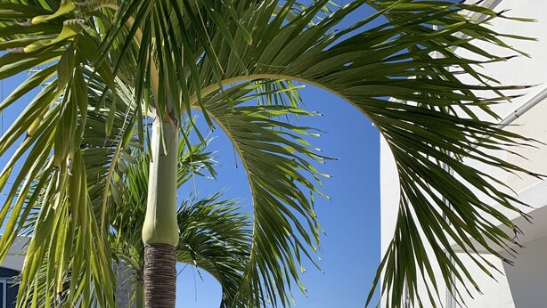 Unclassified image, 1 of 59, button - Hotel Santa Croce (Playa del Carmen)