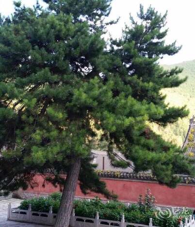 Yunlong Hotel