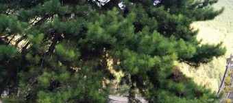 Yunlong Hotel