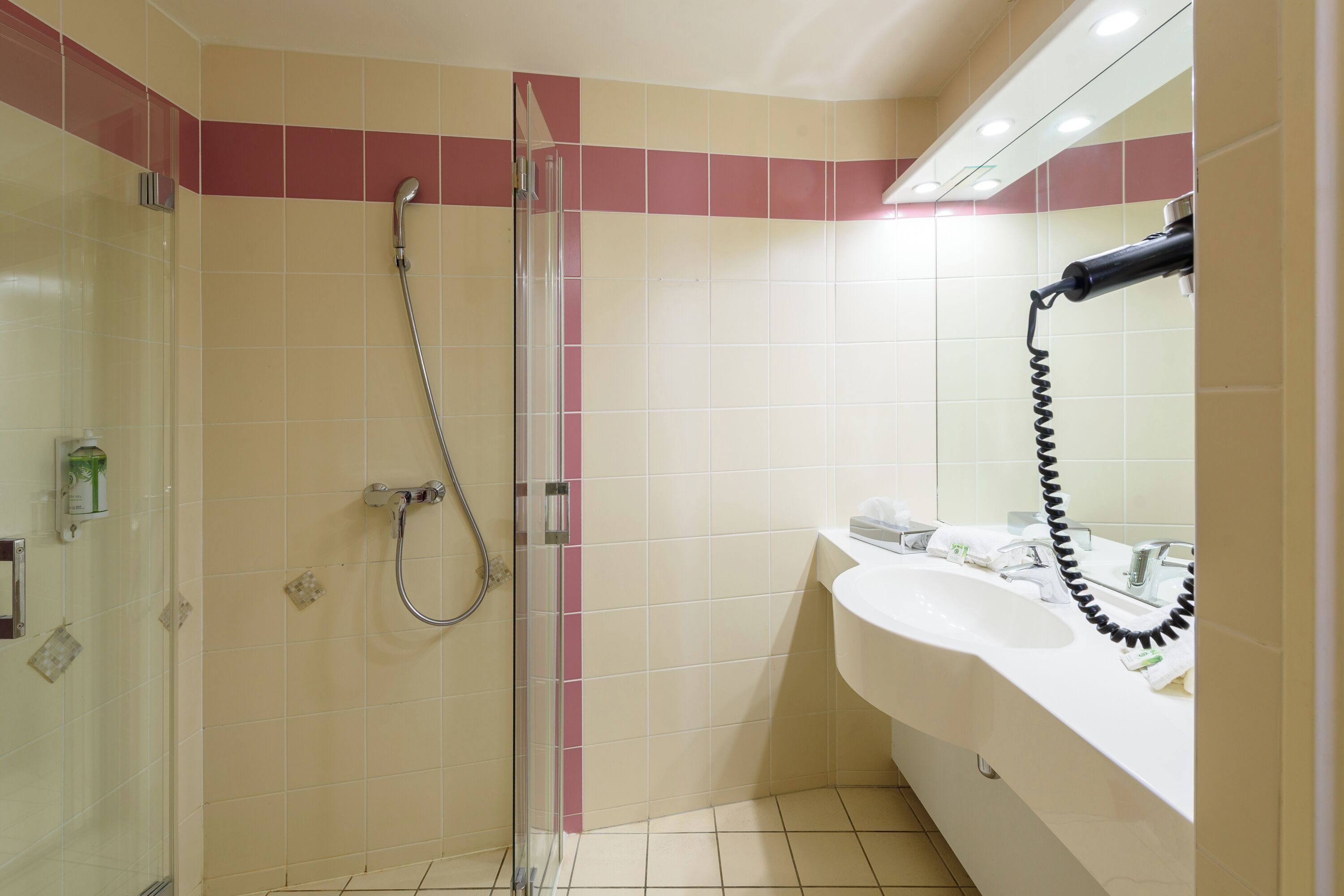 A bathroom with a glass shower enclosure, a white sink, and a mirror.