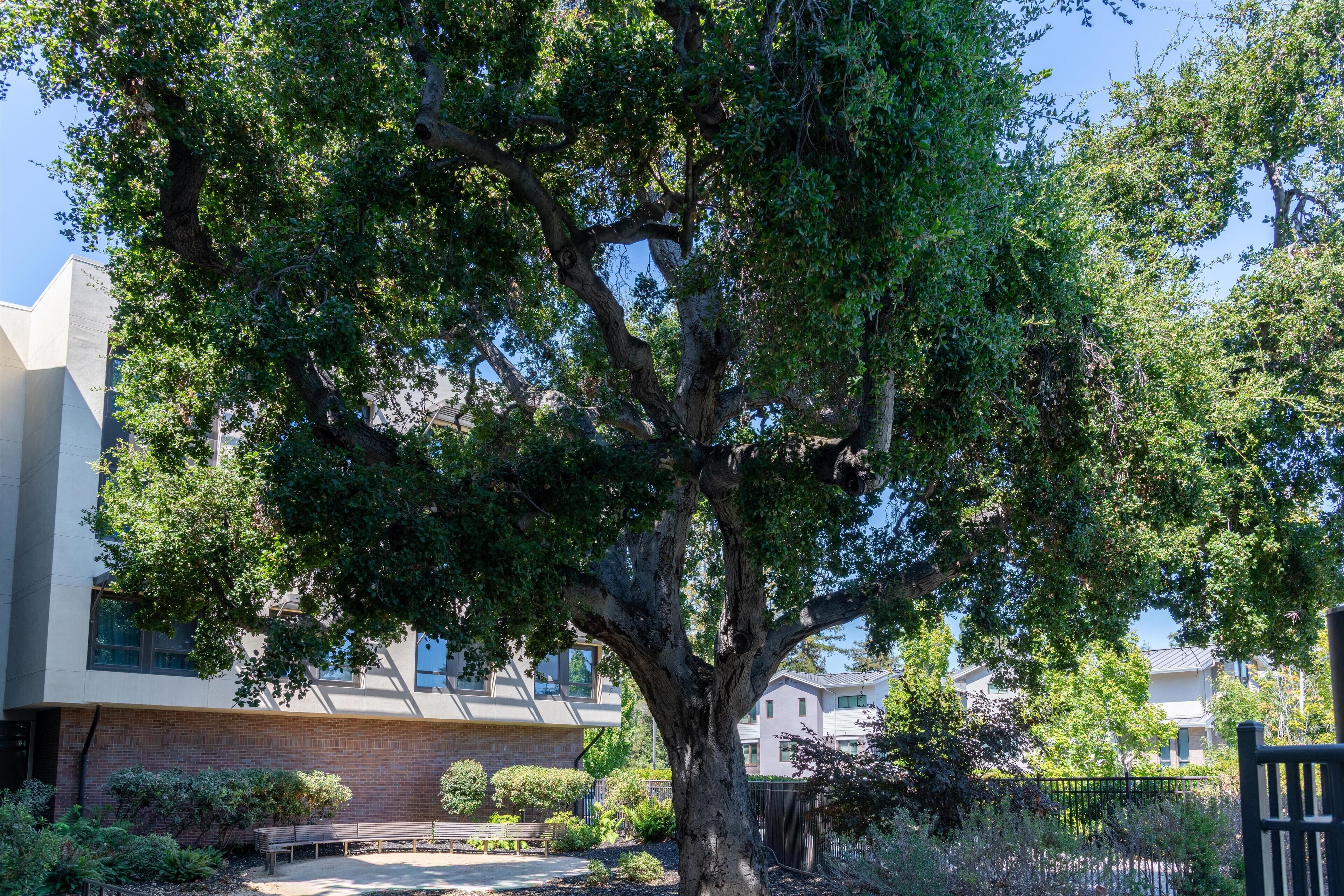 Photo - Homewood Suites by Hilton Palo Alto