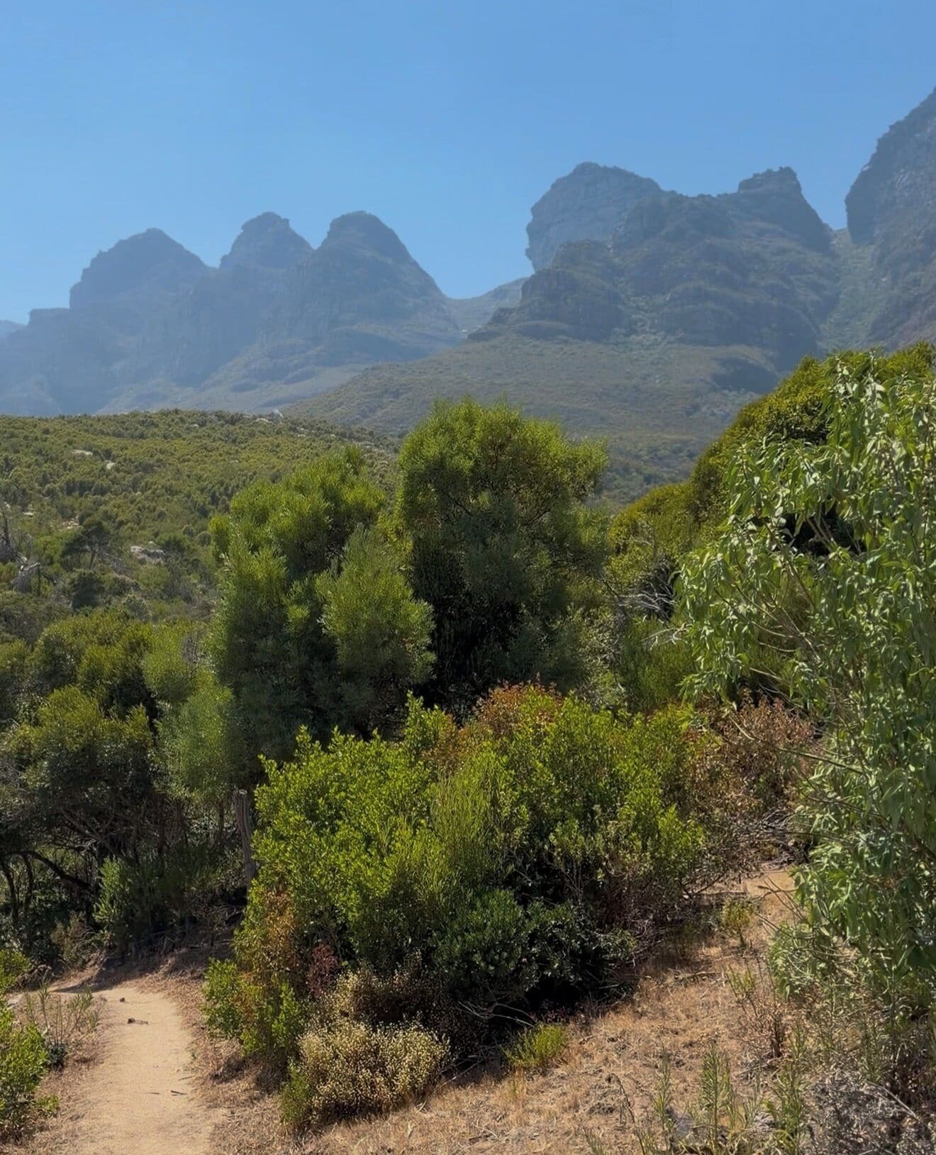A natural landscape with a dirt path, dense green vegetation, and rugged mountains in the background.