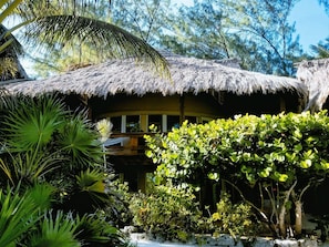 Building design