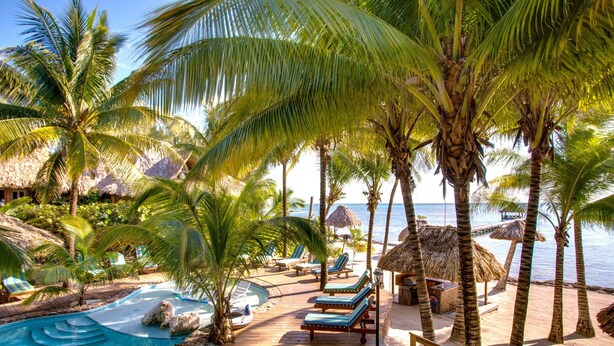 A tropical resort with a wooden deck, lounge chairs, a pool, and palm trees. - Xanadu Island Resort (San Pedro)