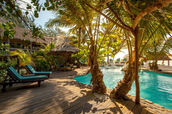 Outdoor pool, pool loungers