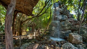 A rustic wooden bridge over a rocky stream, surrounded by lush greenery and a thatched-roof structure. - Xanadu Island Resort (San Pedro)