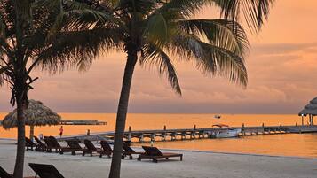 A beach with palm trees, lounge chairs, and a pier extending into the water.