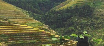 Longsheng Dazhai Tian Ranju Inn