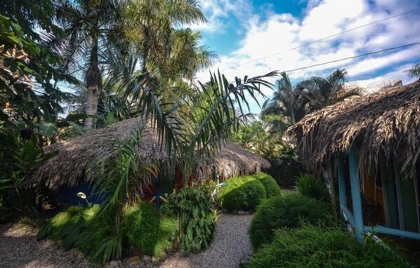 Exterior - Cabarete Surf Camp (Cabarete)