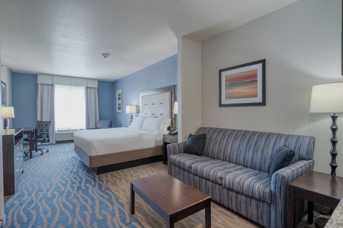A hotel room with a bed, a sofa, a desk, and a chair.