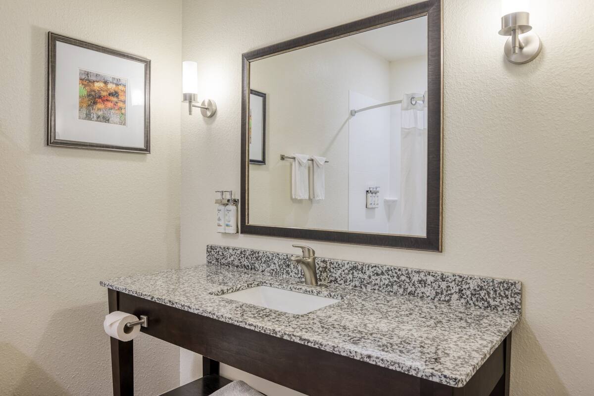 A bathroom with a granite countertop sink, a large mirror, a framed picture on the wall, and a towel rack.