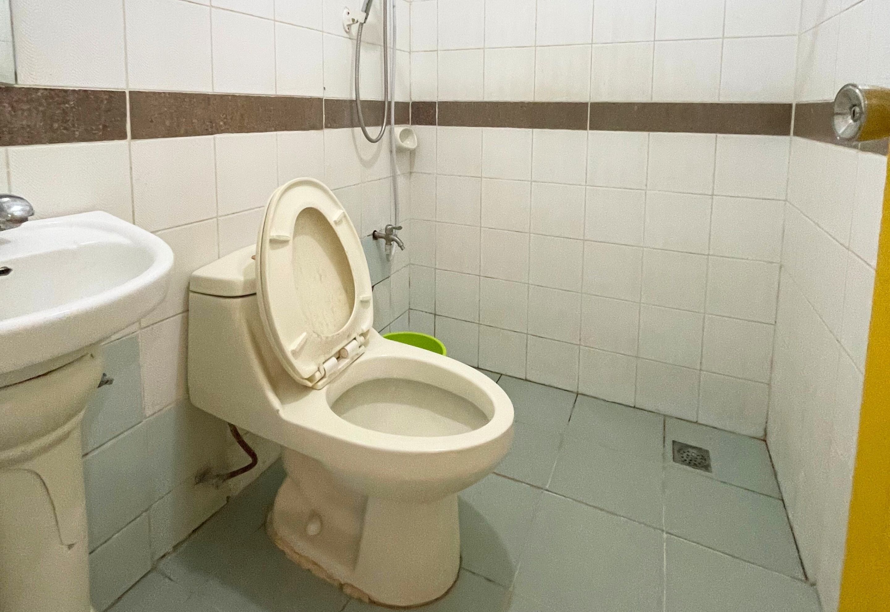 Ein Badezimmer mit Toilette, Waschbecken und Dusche.