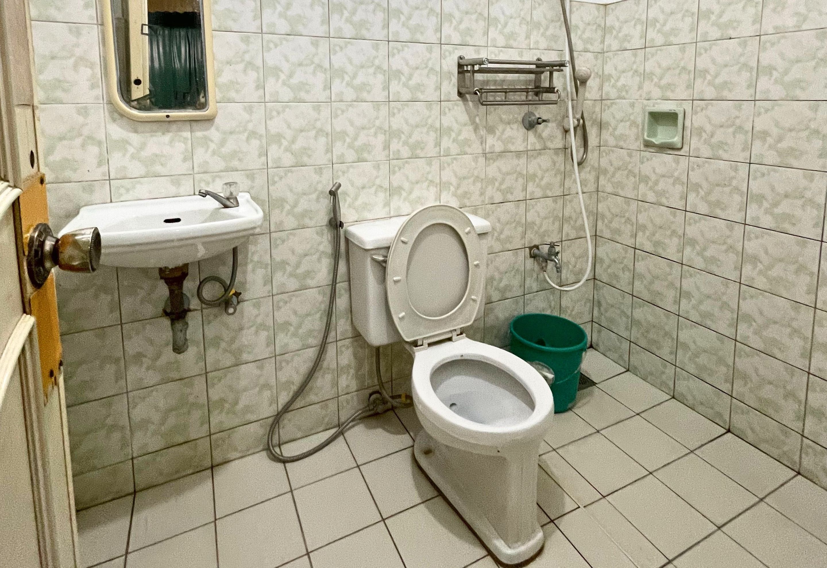 Un baño con inodoro, lavabo y ducha.