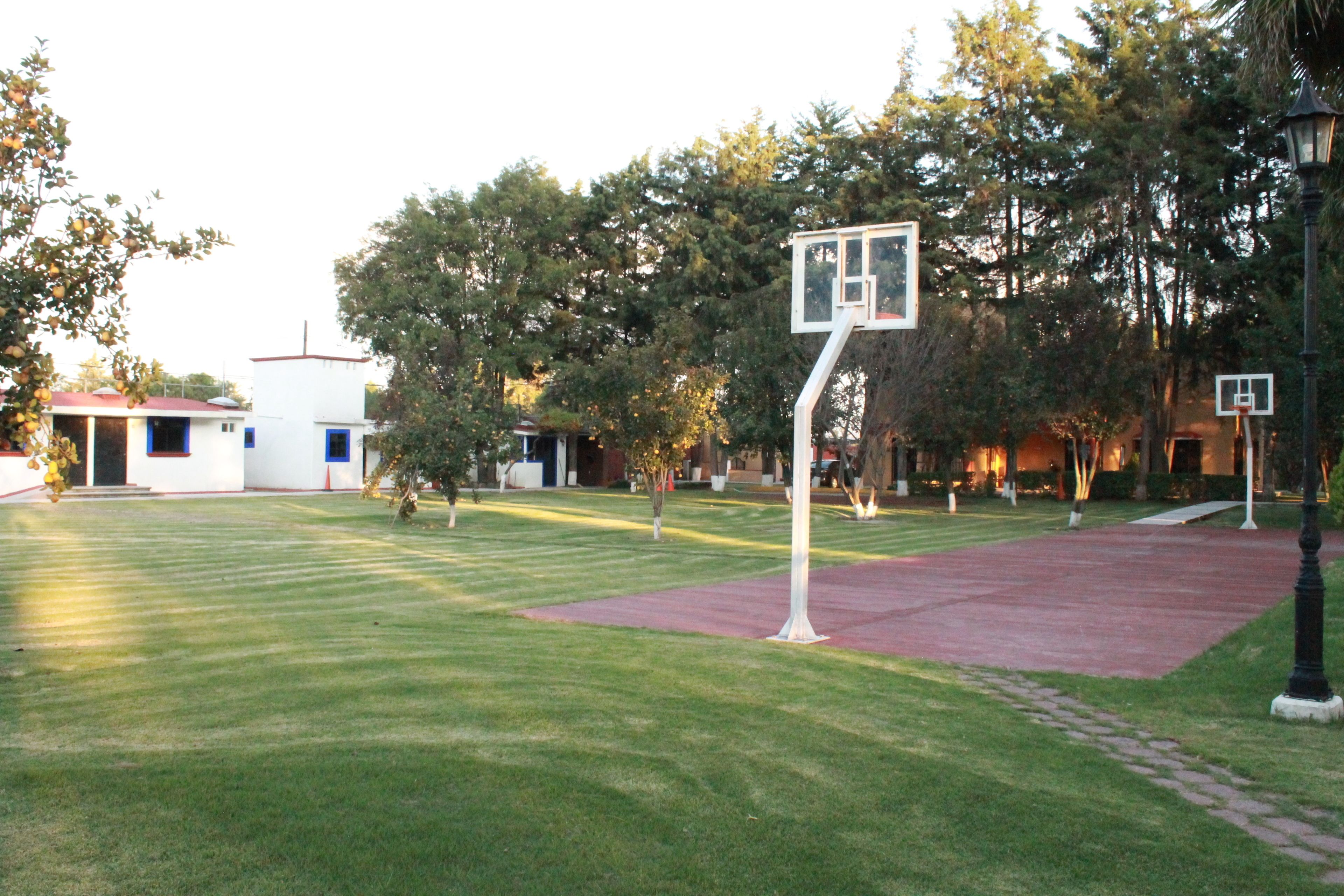 basketball court