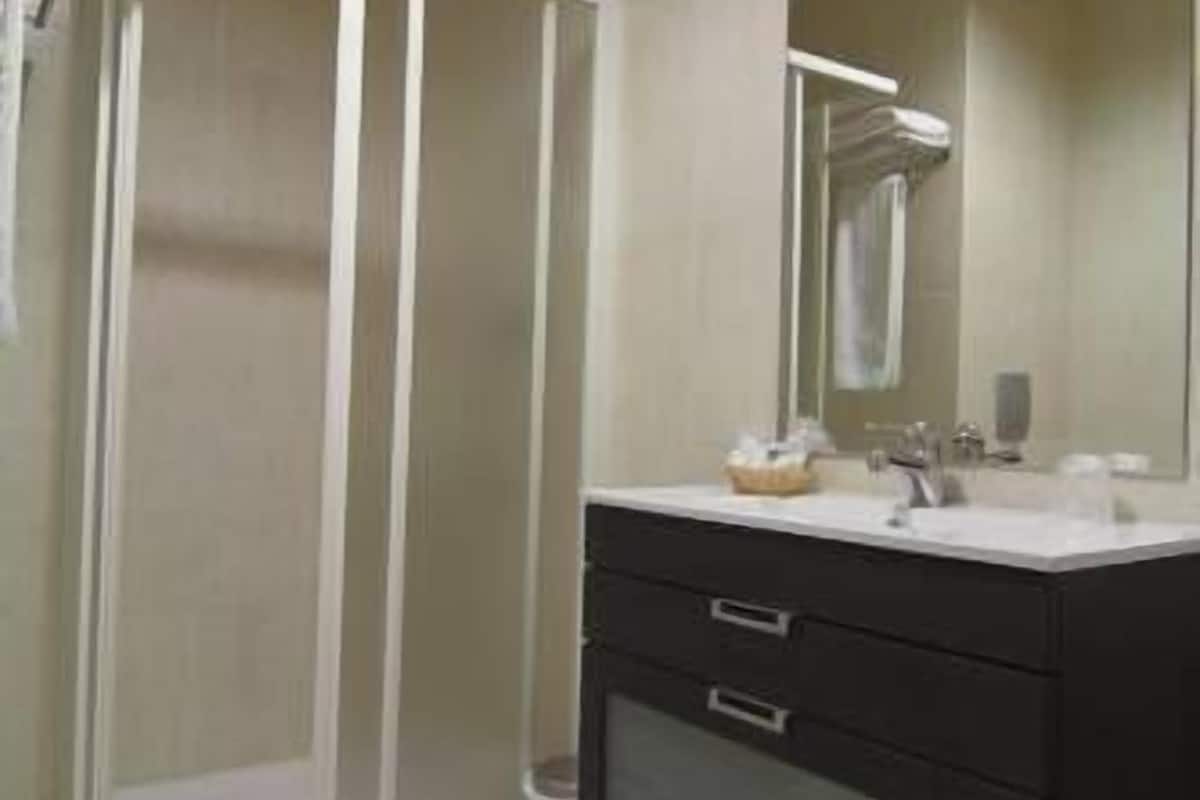 shower, free toiletries, hair dryer, towels