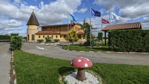 A building with a tower, multiple flags, and a mushroom sculpture in the foreground. - Motel Cancun León (Ardon)