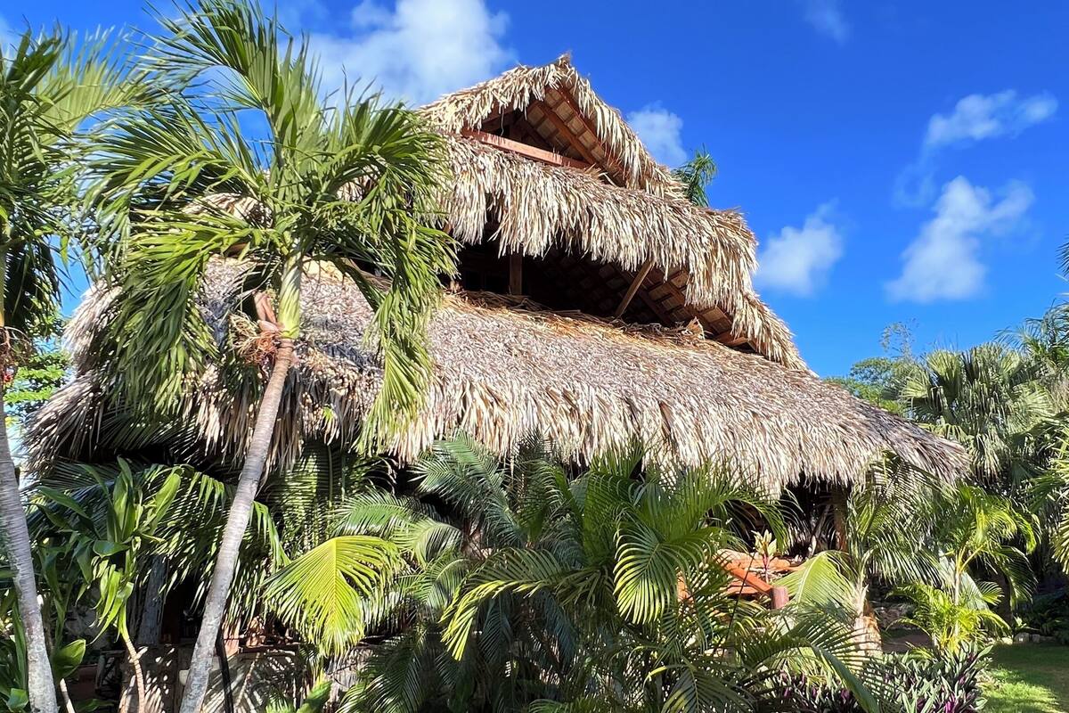 A thatched-roof structure surrounded by lush tropical vegetation.