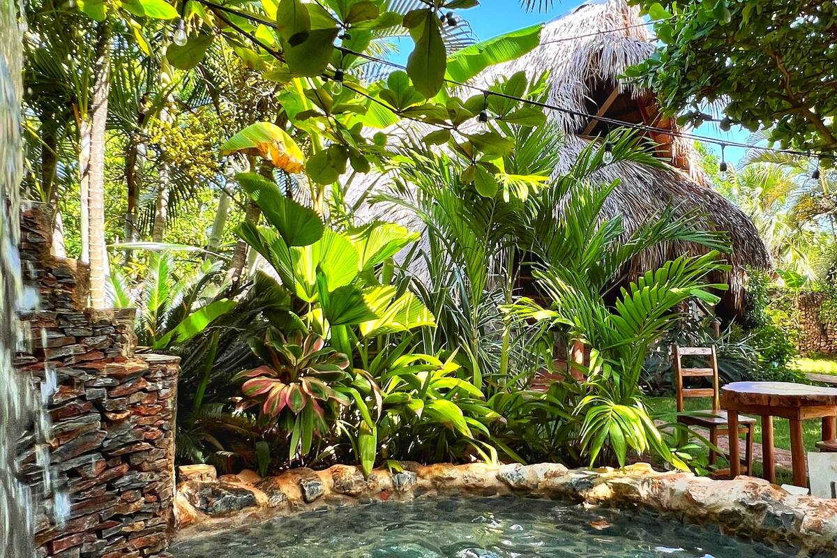 A tropical garden with a stone wall, a small pool, and a thatched-roof structure.