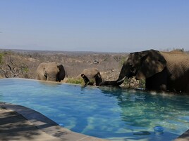 ゲーム ビューイング