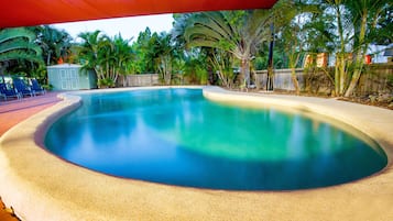 Piscina com borda curva, rodeada por palmeiras e um cercado de madeira.