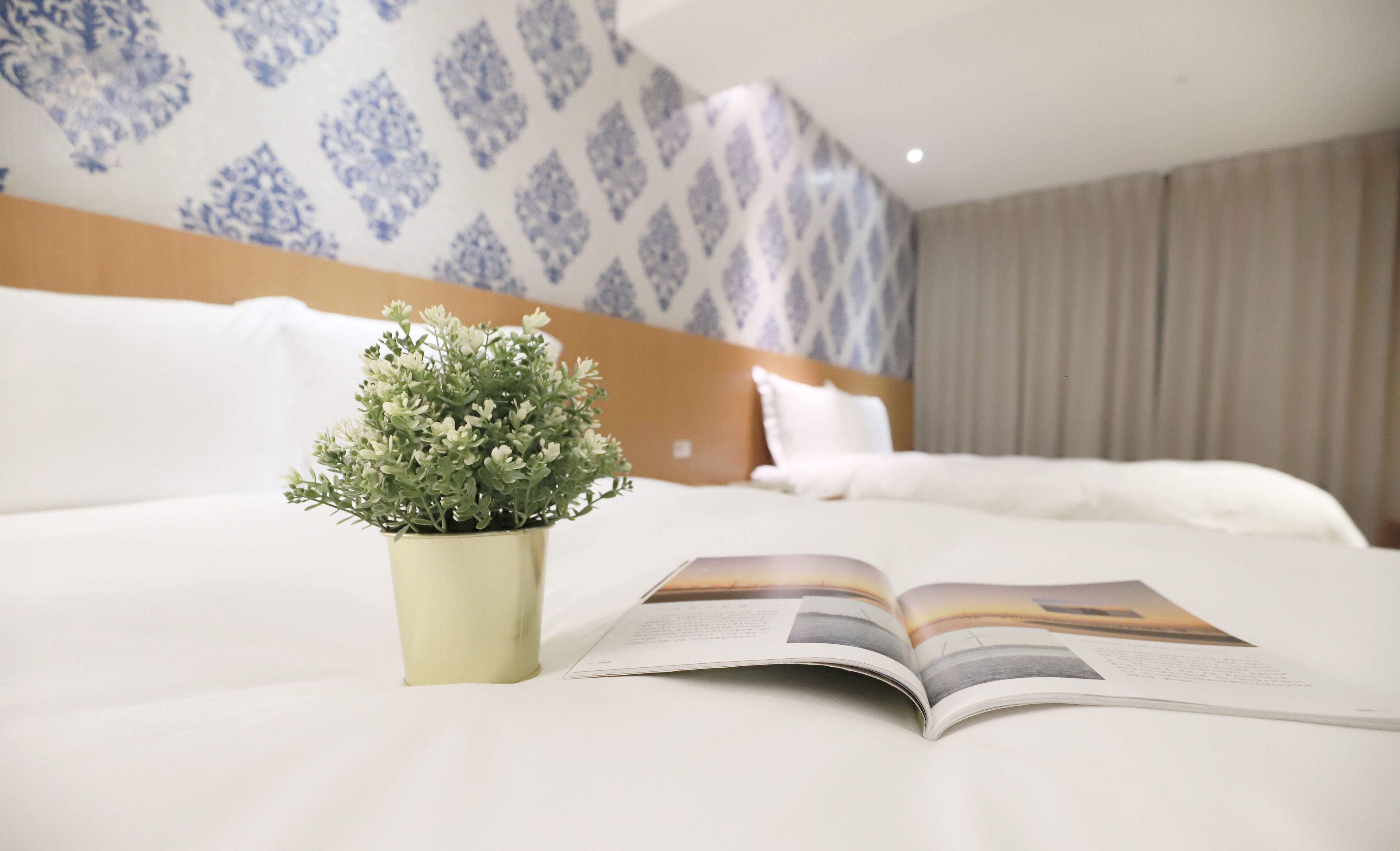 economy quadruple room, no windows | down duvets, free minibar, individually decorated