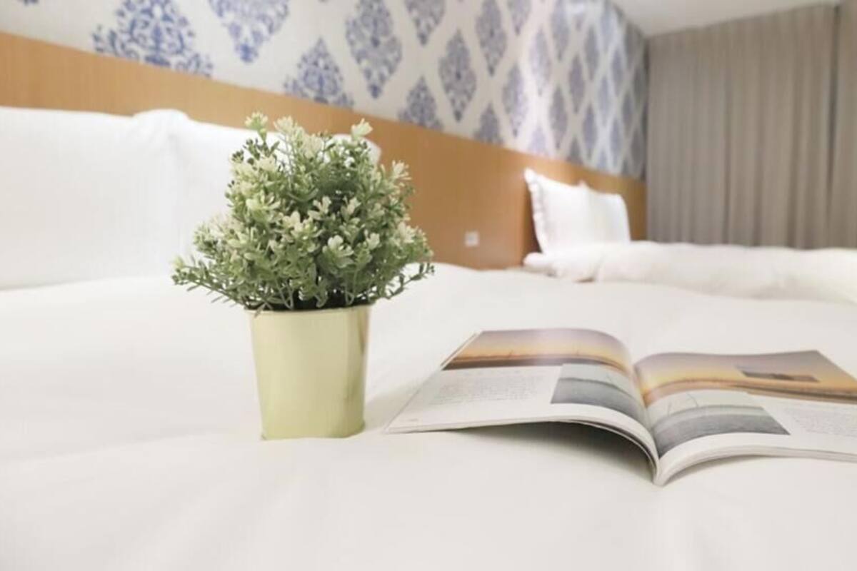 A hotel room with a bed, a potted plant, and an open magazine.