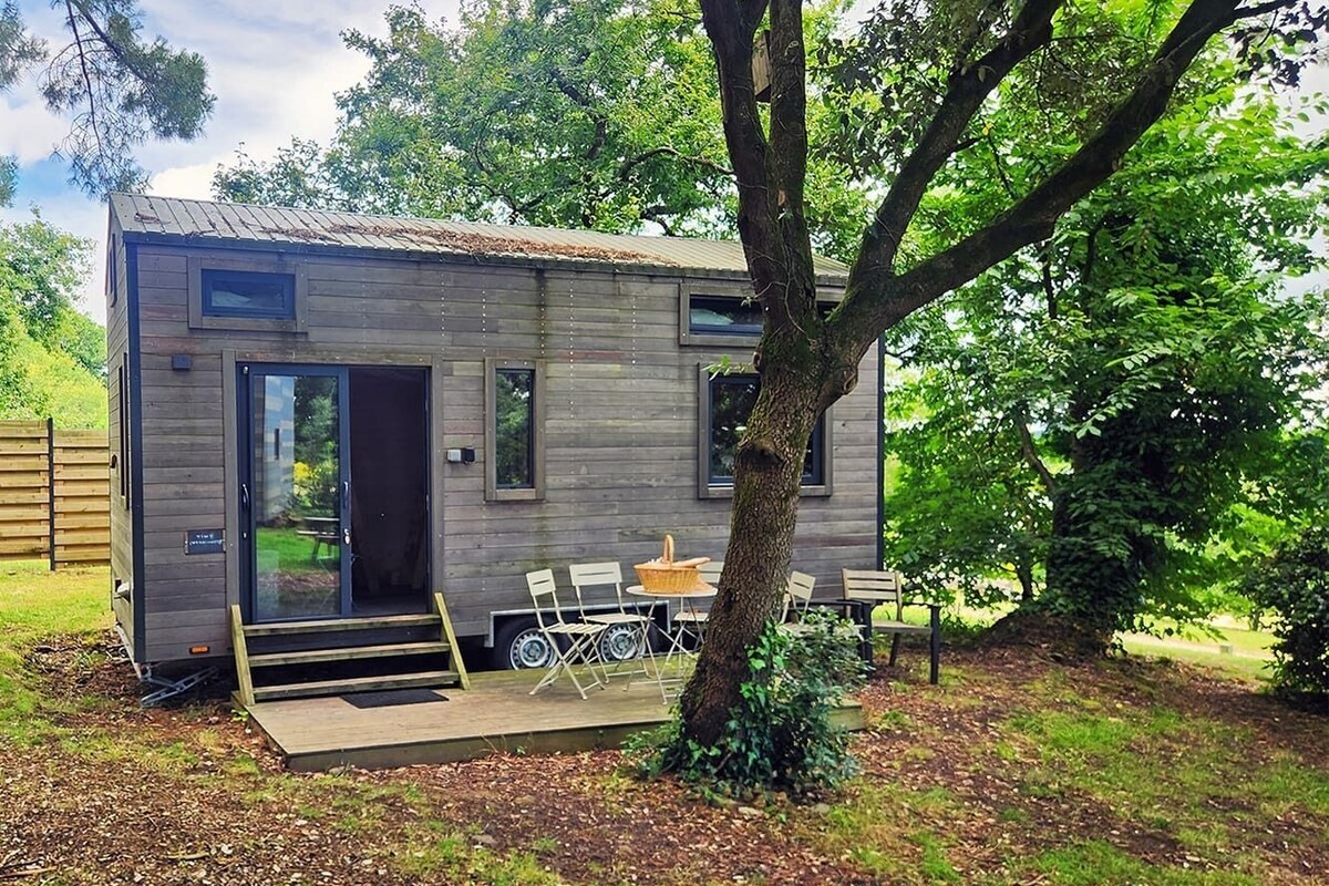 Eine kleine, eingeschossige Holzhütte mit einer Schiebetür, einer Terrasse mit Sitzgelegenheit und einem Baum davor.