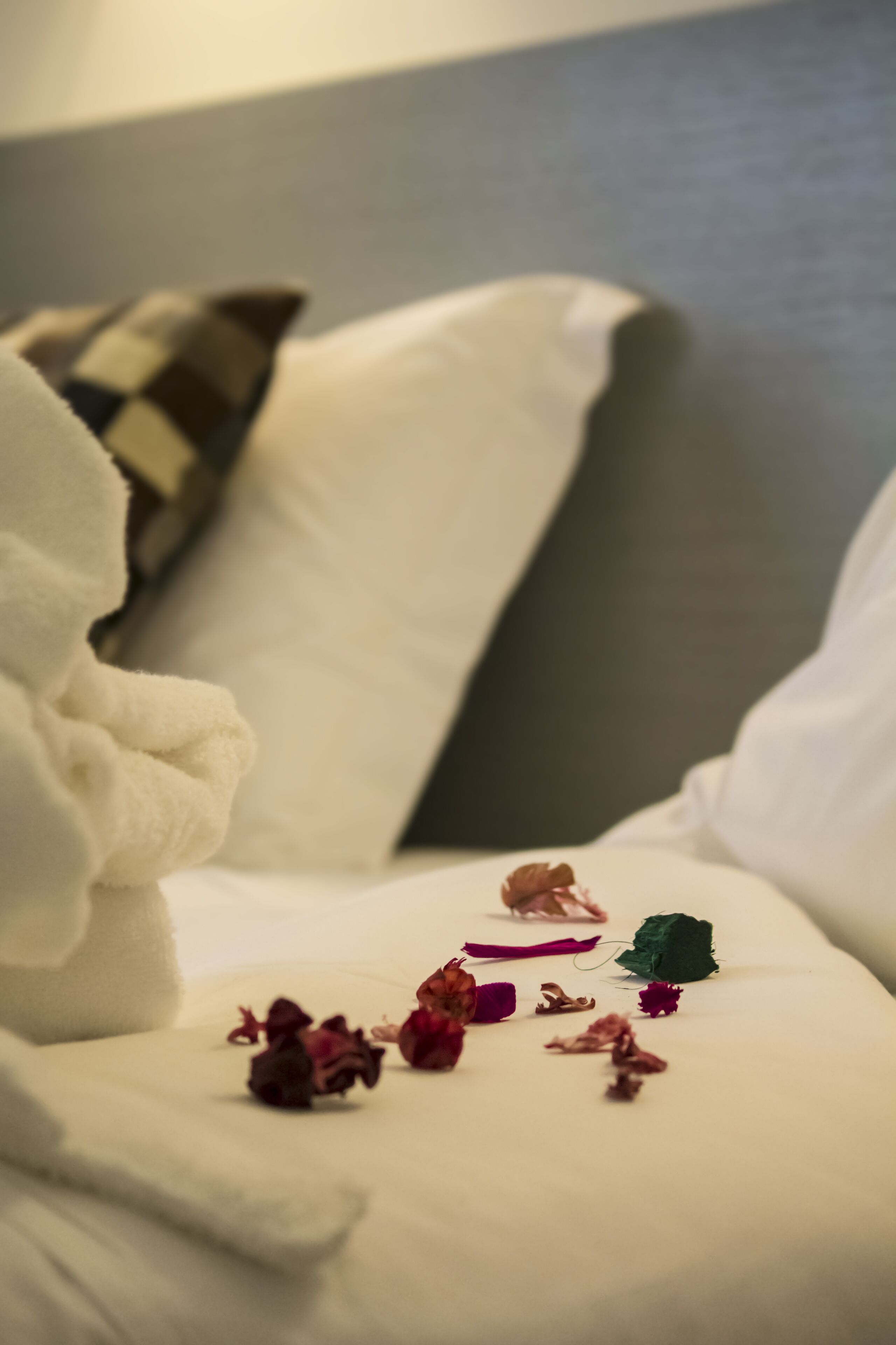 romantic room | desk, soundproofing, rollaway beds, free wifi