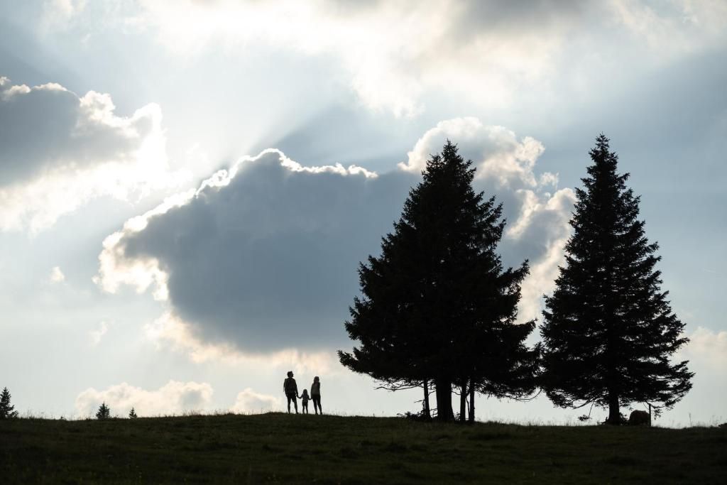 A silhouette of a family on a grassy hill with two prominent trees and a cloudy sky.