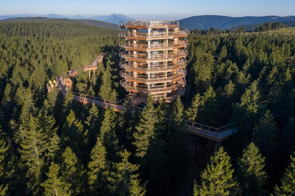 A multi-story tower hotel surrounded by a dense forest, with a viewing platform and a staircase leading to the top.