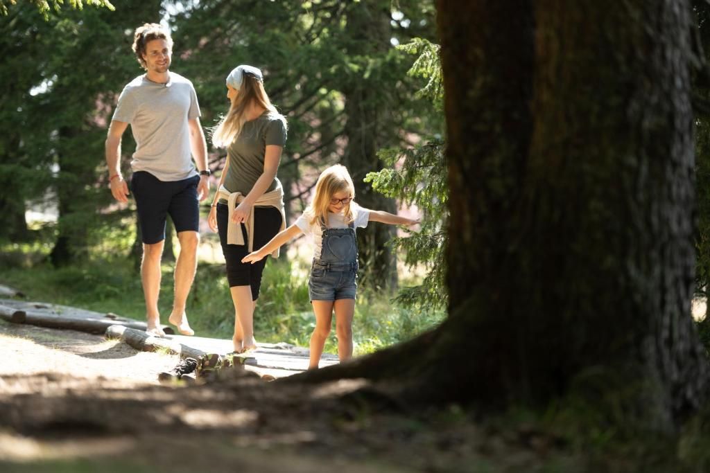 En familie går på en sti i skoven.