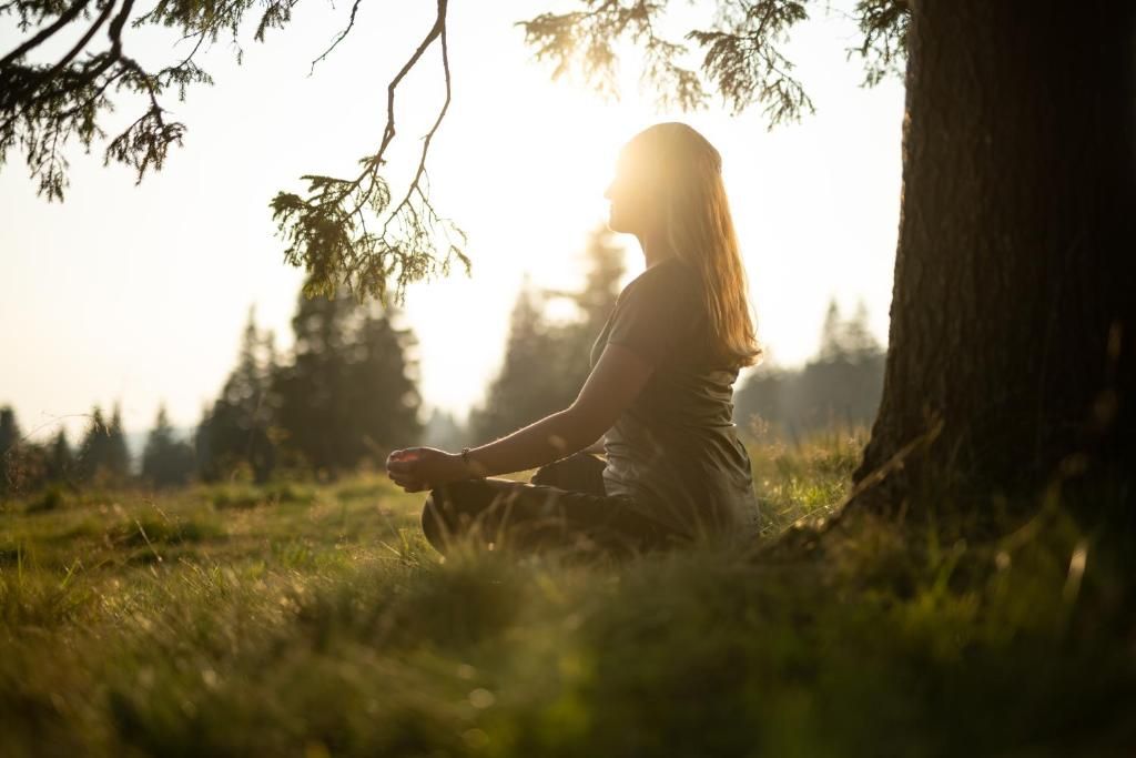 Una persona seduta all'aperto in un ambiente naturale, tra alberi e luce del sole.