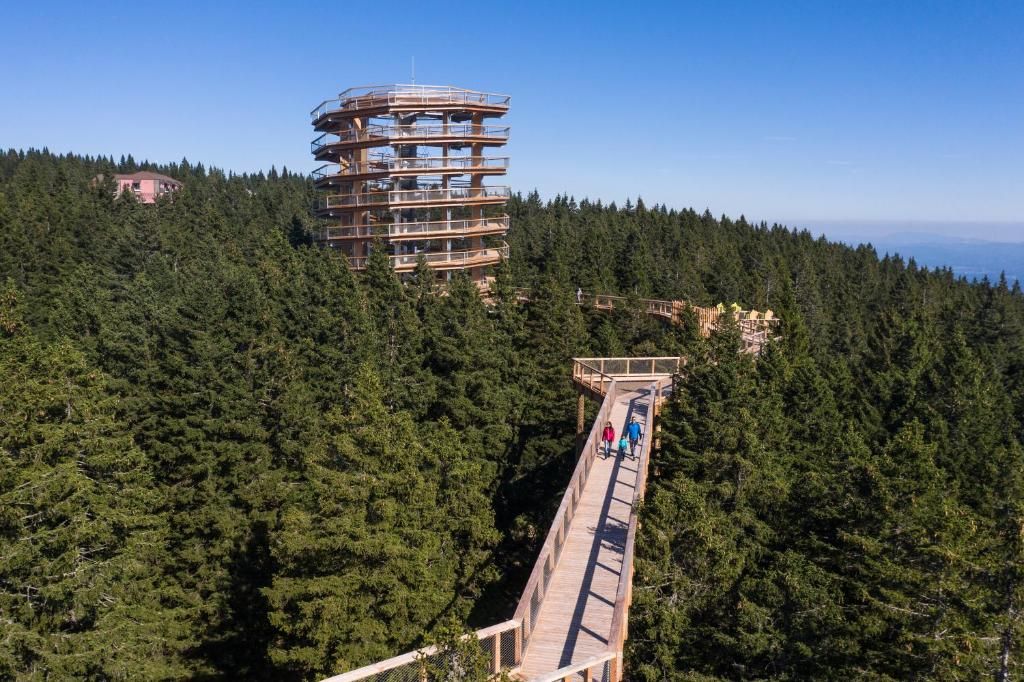 Una estructura de madera de varios niveles con una plataforma panorámica que se adentra en un área boscosa.