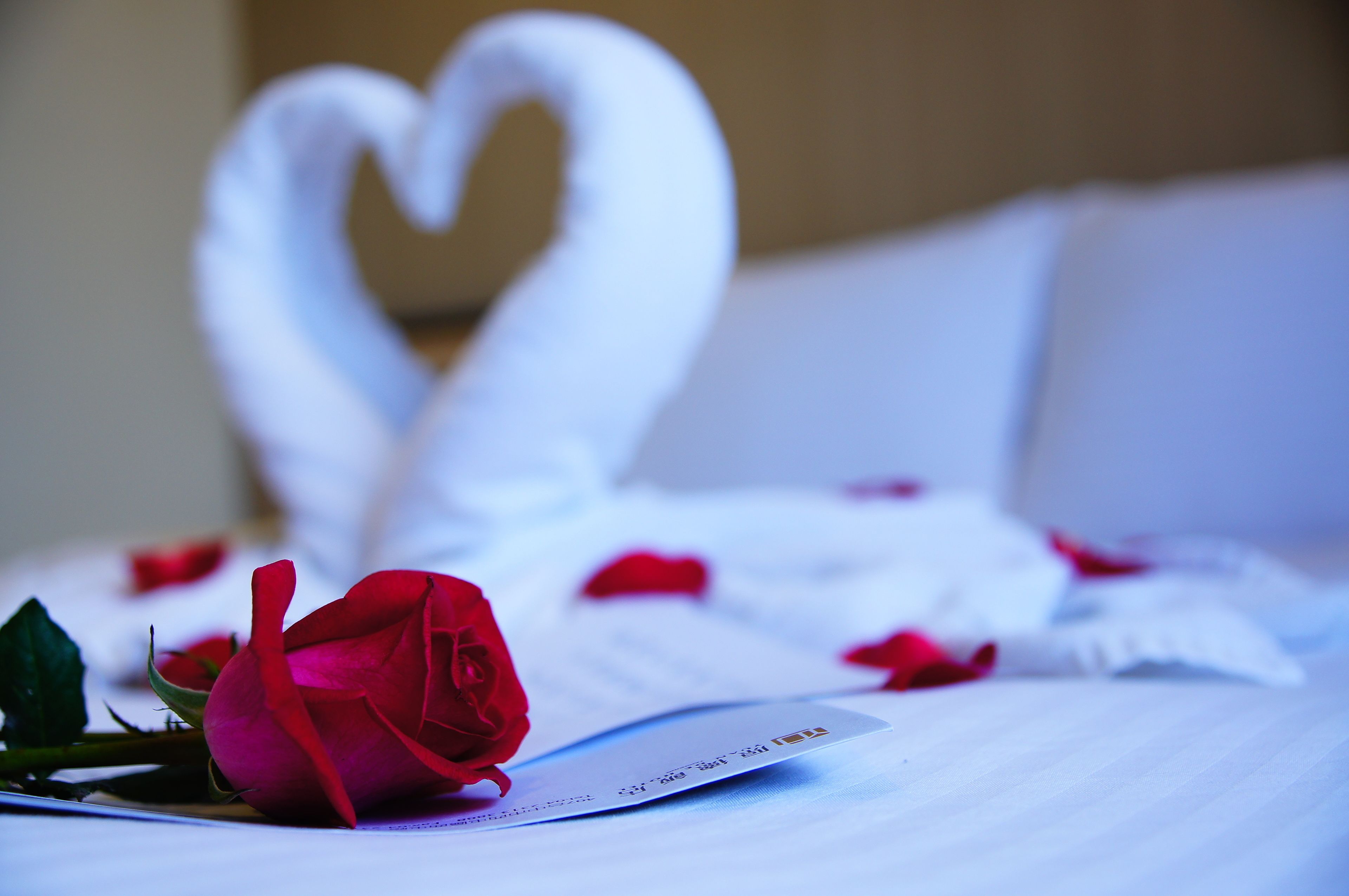 standard double room | 1 bedroom, premium bedding, down duvets, desk