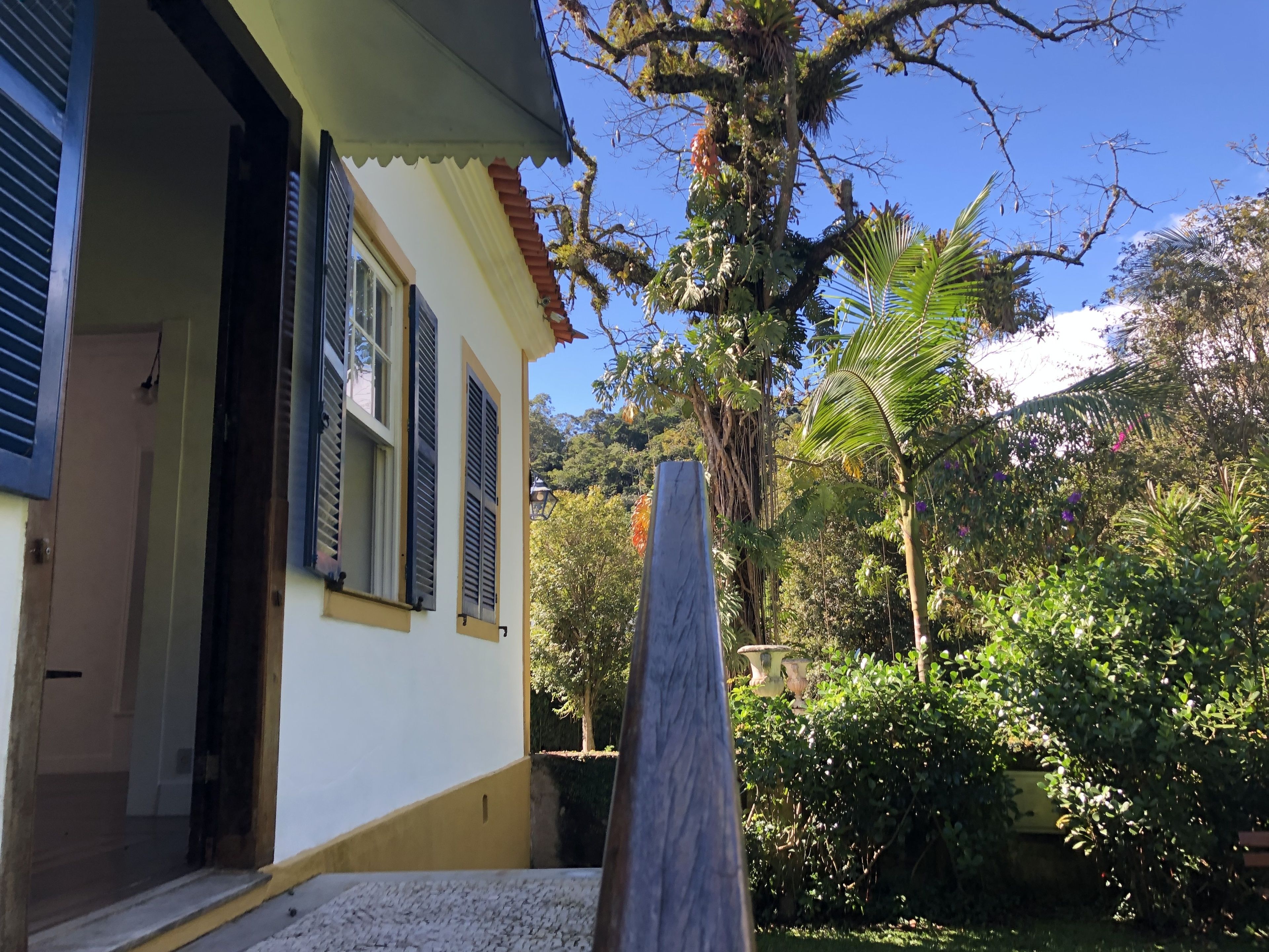 Una casa con fachada blanca, base amarilla y una puerta con ventanal. Se observa un jardín con diversas plantas y un árbol.