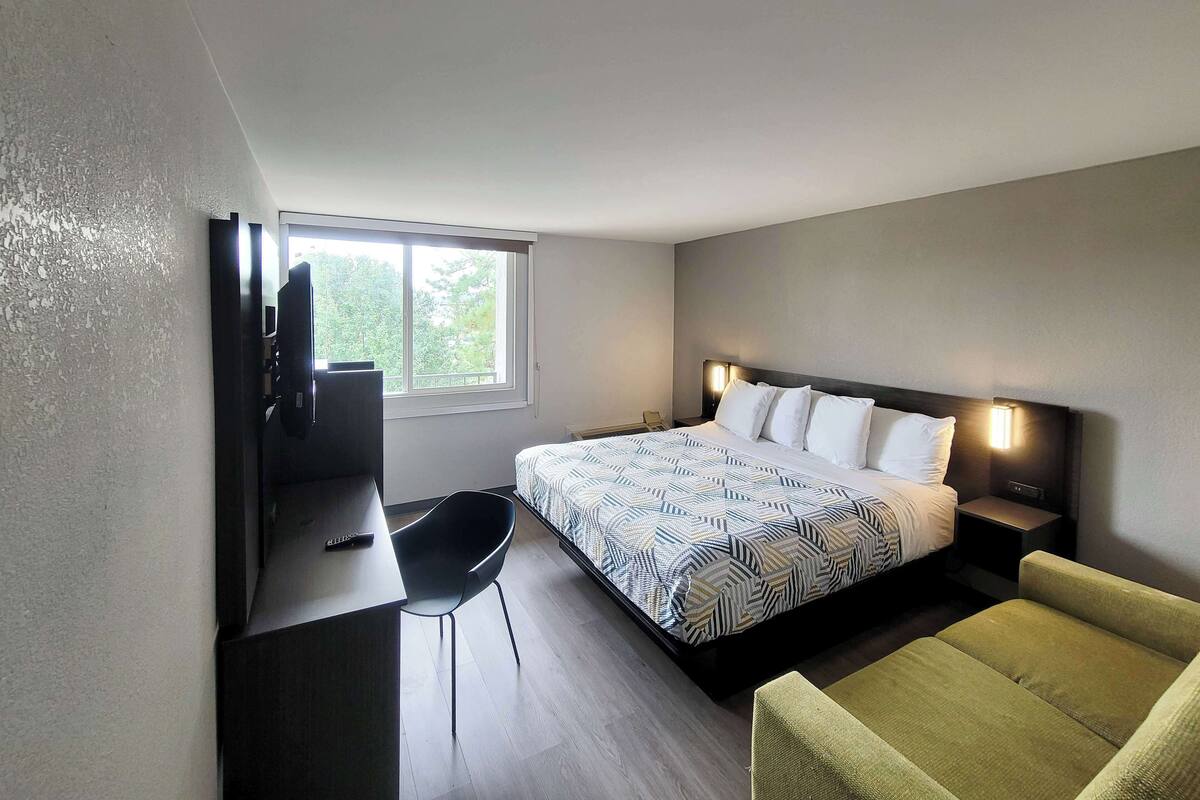 A modern hotel room with a bed, a desk with a chair, a television, and a window with a view of trees.
