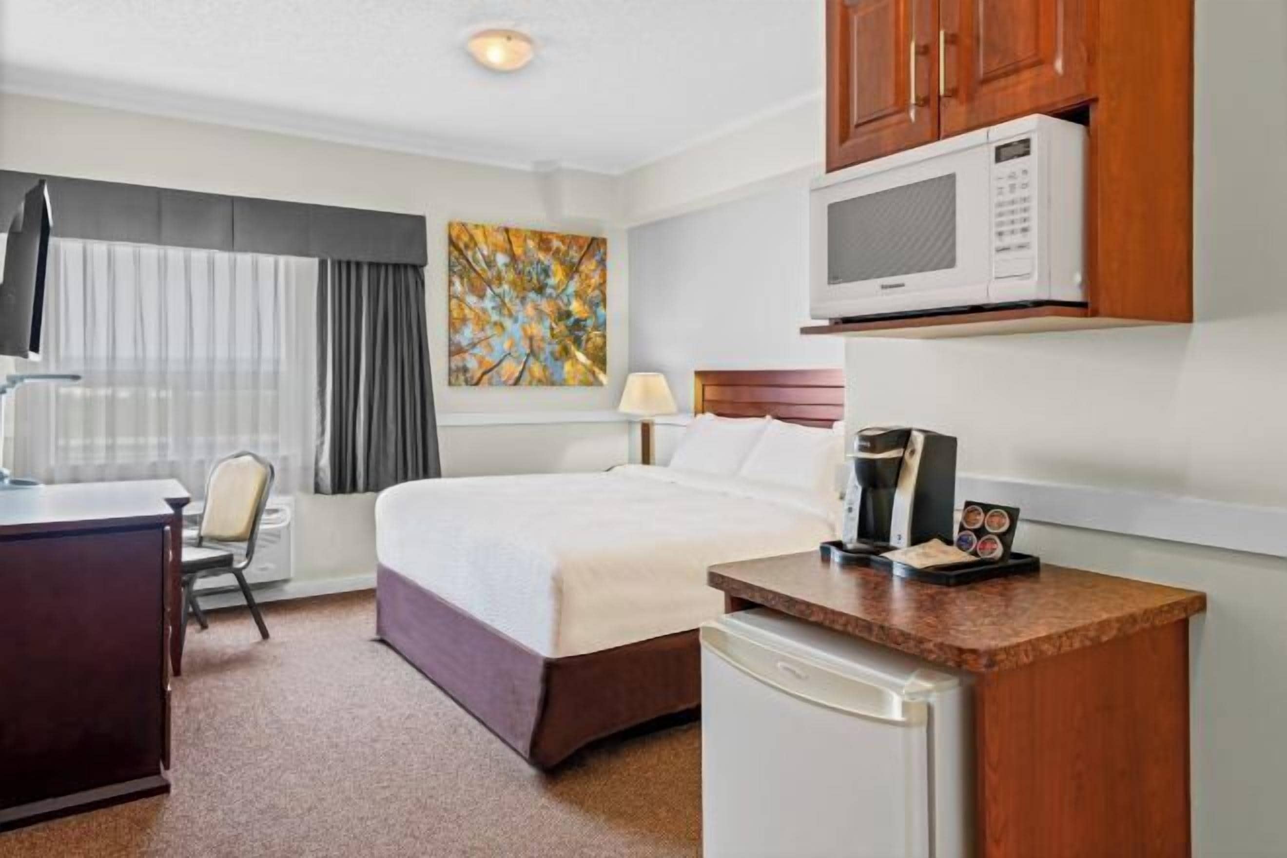 Hypo-allergenic bedding, blackout curtains, soundproofing