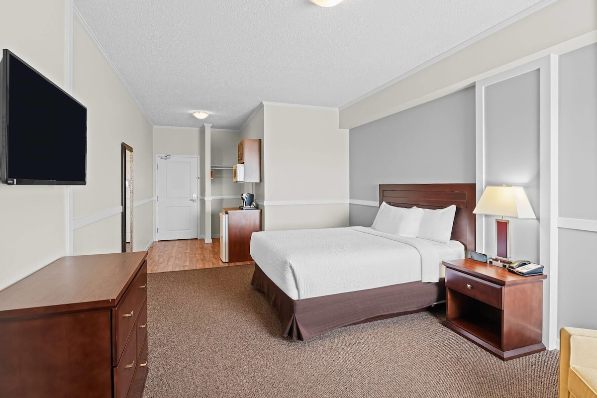 Hypo-allergenic bedding, blackout curtains, soundproofing
