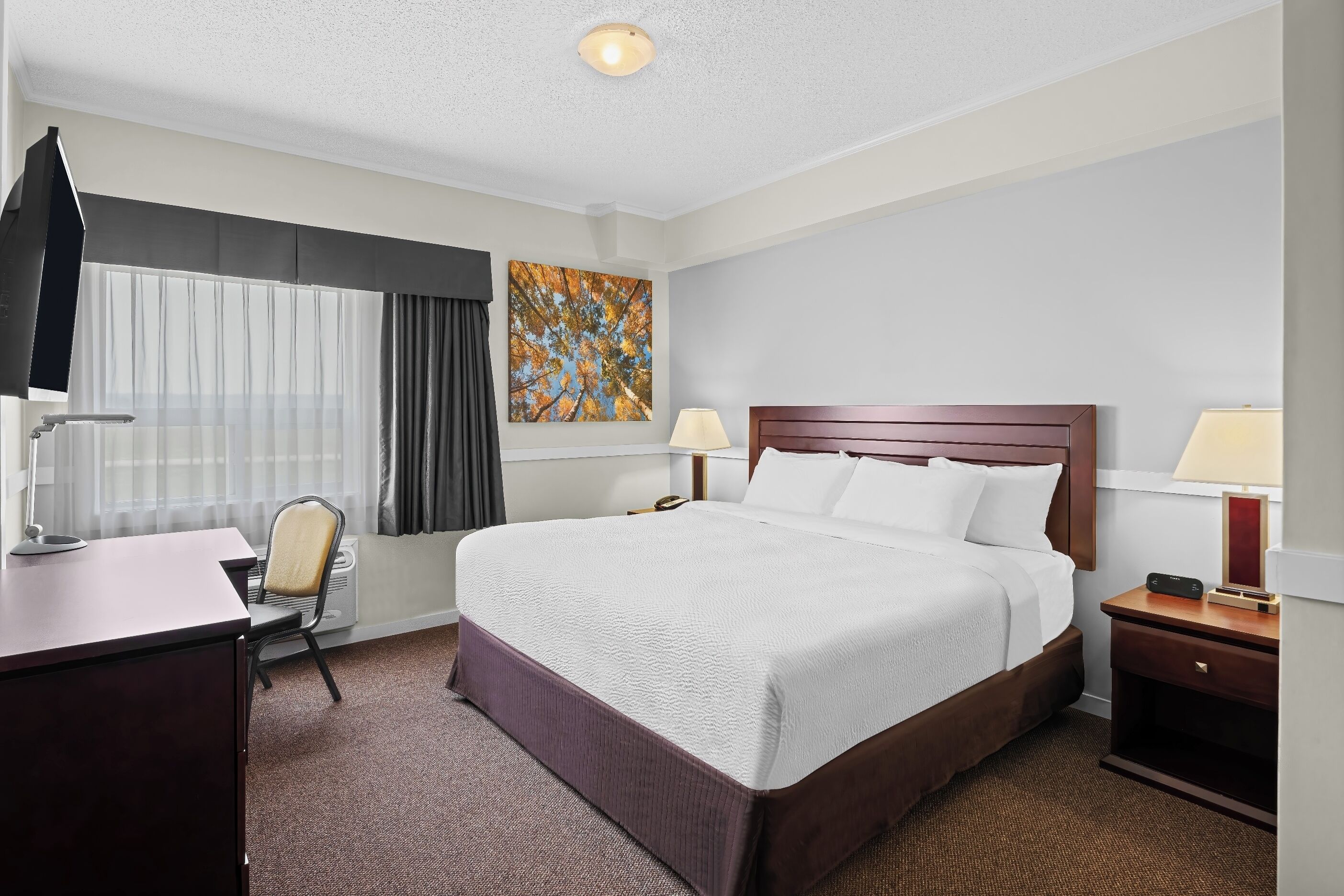 Room, 1 King Bed, Non Smoking