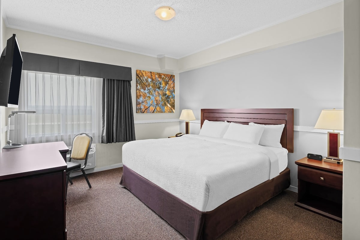 Zimmer, 1 King-Bett, Nichtraucher | Allergikerbettwaren, Verdunkelungsvorhänge, schallisolierte Zimmer