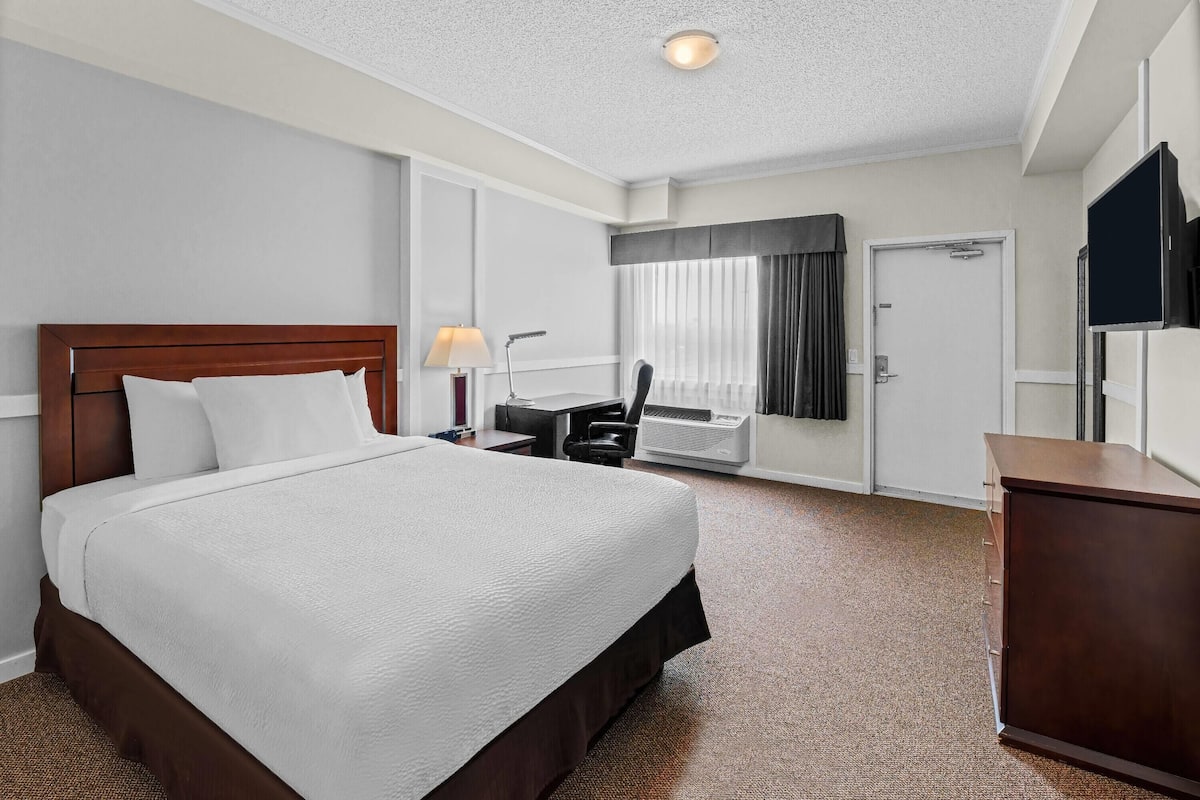 Hypo-allergenic bedding, blackout curtains, soundproofing