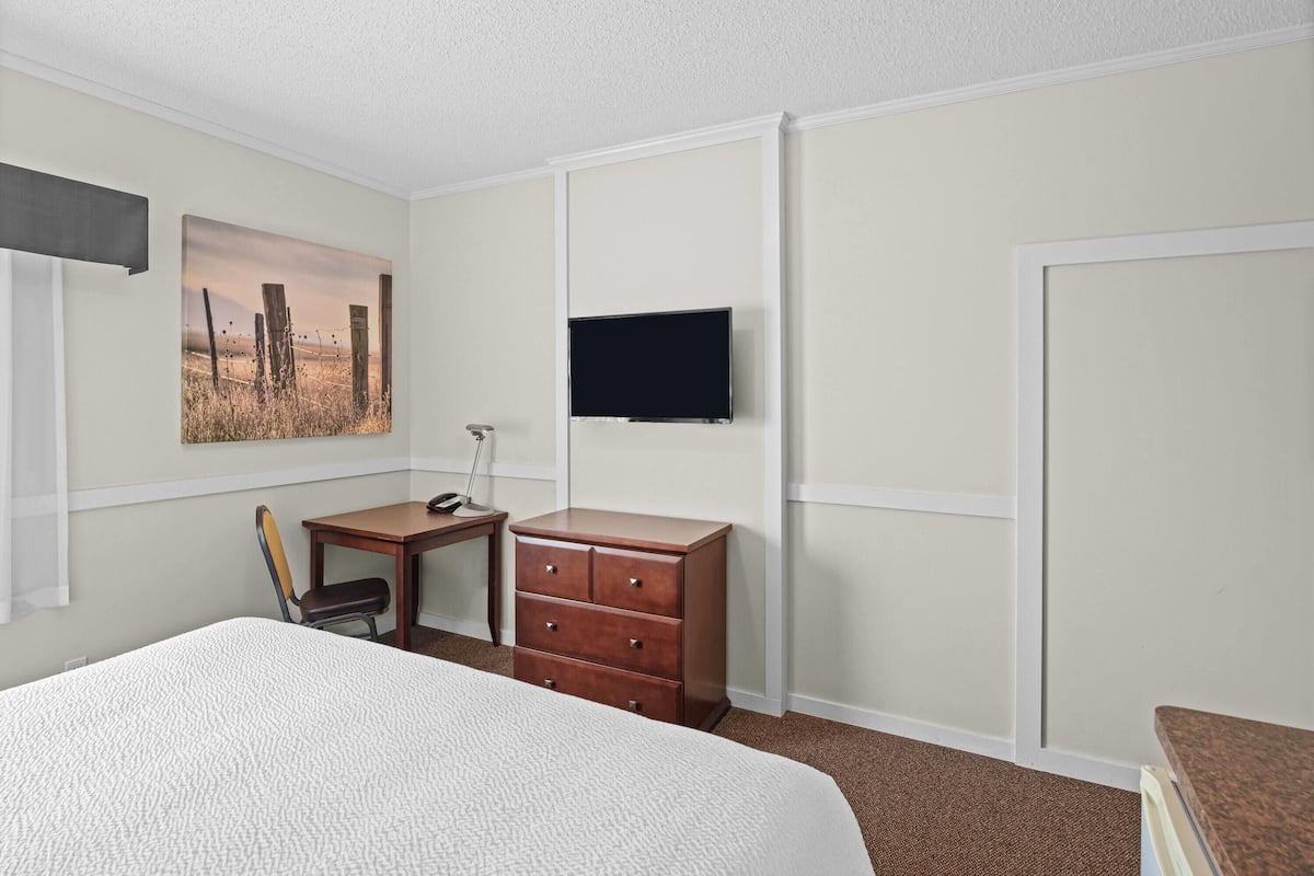 Hypo-allergenic bedding, blackout curtains, soundproofing