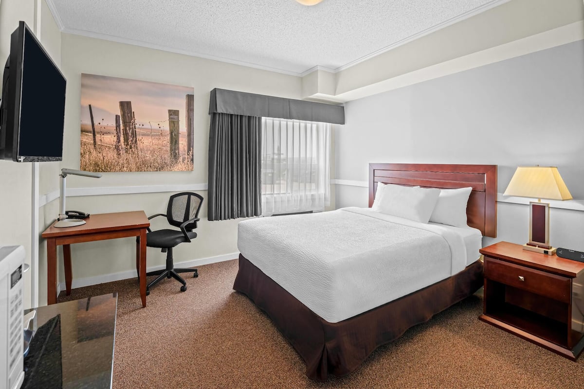 Hypo-allergenic bedding, blackout curtains, soundproofing