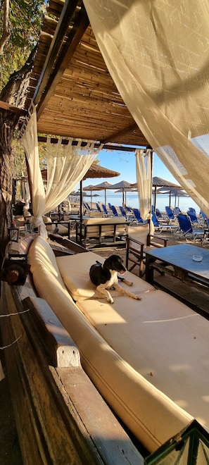 Beach nearby, sun loungers, beach umbrellas, snorkeling