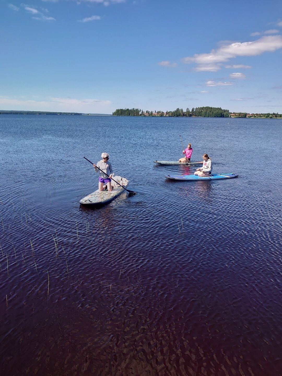 private beach, sun-loungers